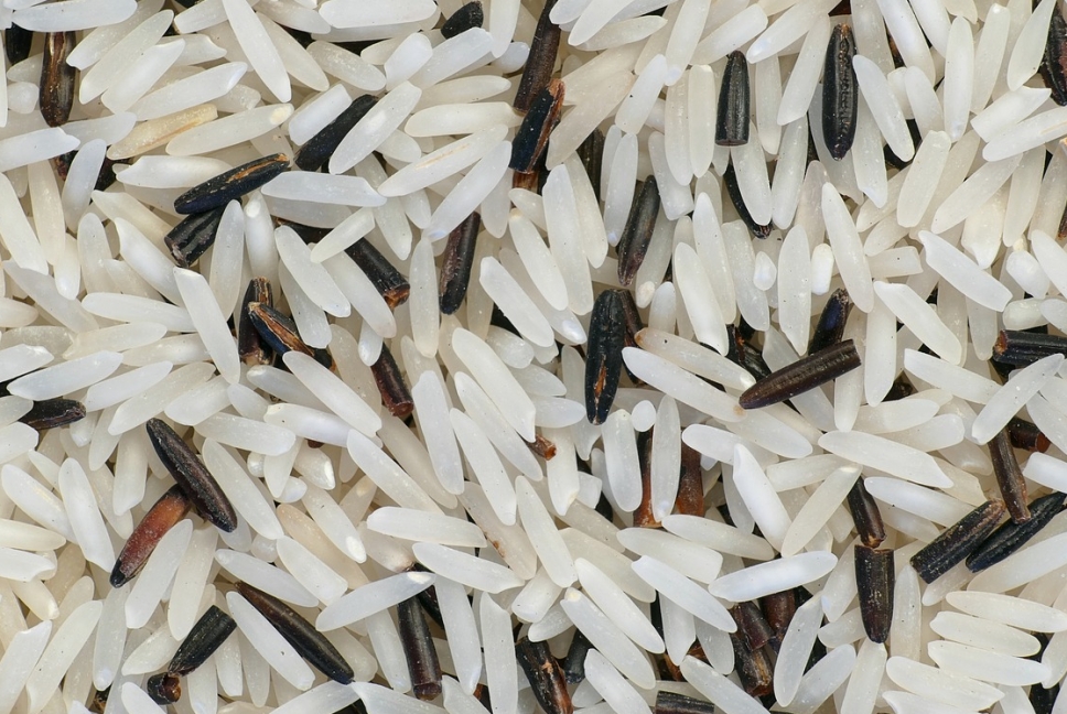 Wykorzystanie dzikiego ryżu w zdrowym odżywianiu