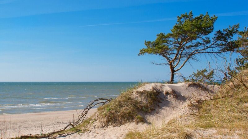 Zwiedzanie wyspy Rugia: Co warto zobaczyć?